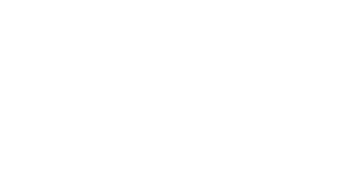 Logo indiba